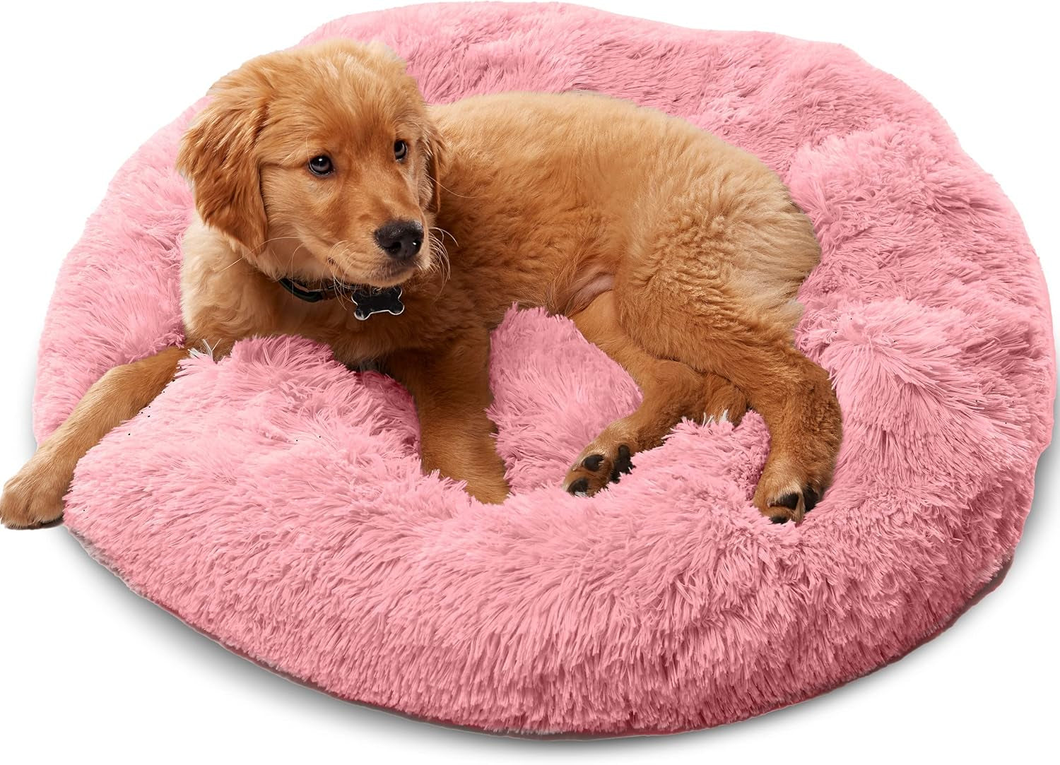 Premium Dog Beds for Large Dogs and Medium Dogs - Portable Dog Beds & Furniture - Fits up to 45 Lbs, (Medium, Dark Grey)