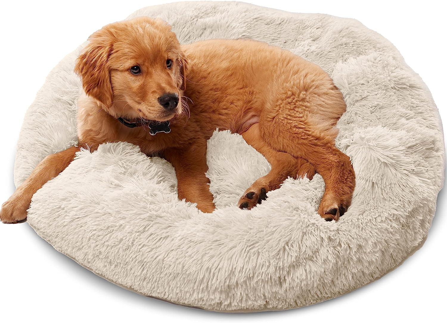 Premium Dog Beds for Large Dogs and Medium Dogs - Portable Dog Beds & Furniture - Fits up to 45 Lbs, (Medium, Dark Grey)