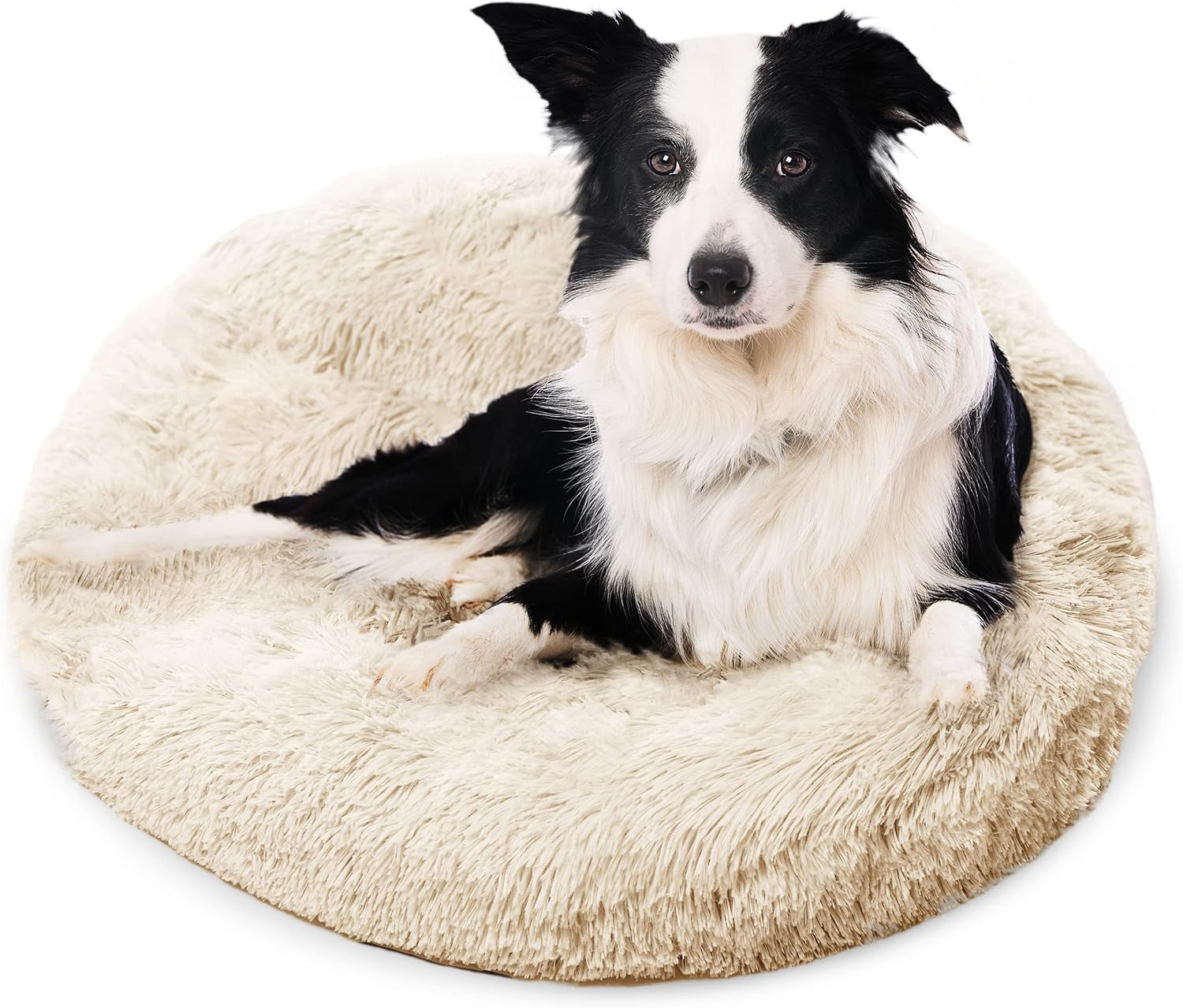 Premium Dog Beds for Large Dogs and Medium Dogs - Portable Dog Beds & Furniture - Fits up to 45 Lbs, (Medium, Dark Grey)