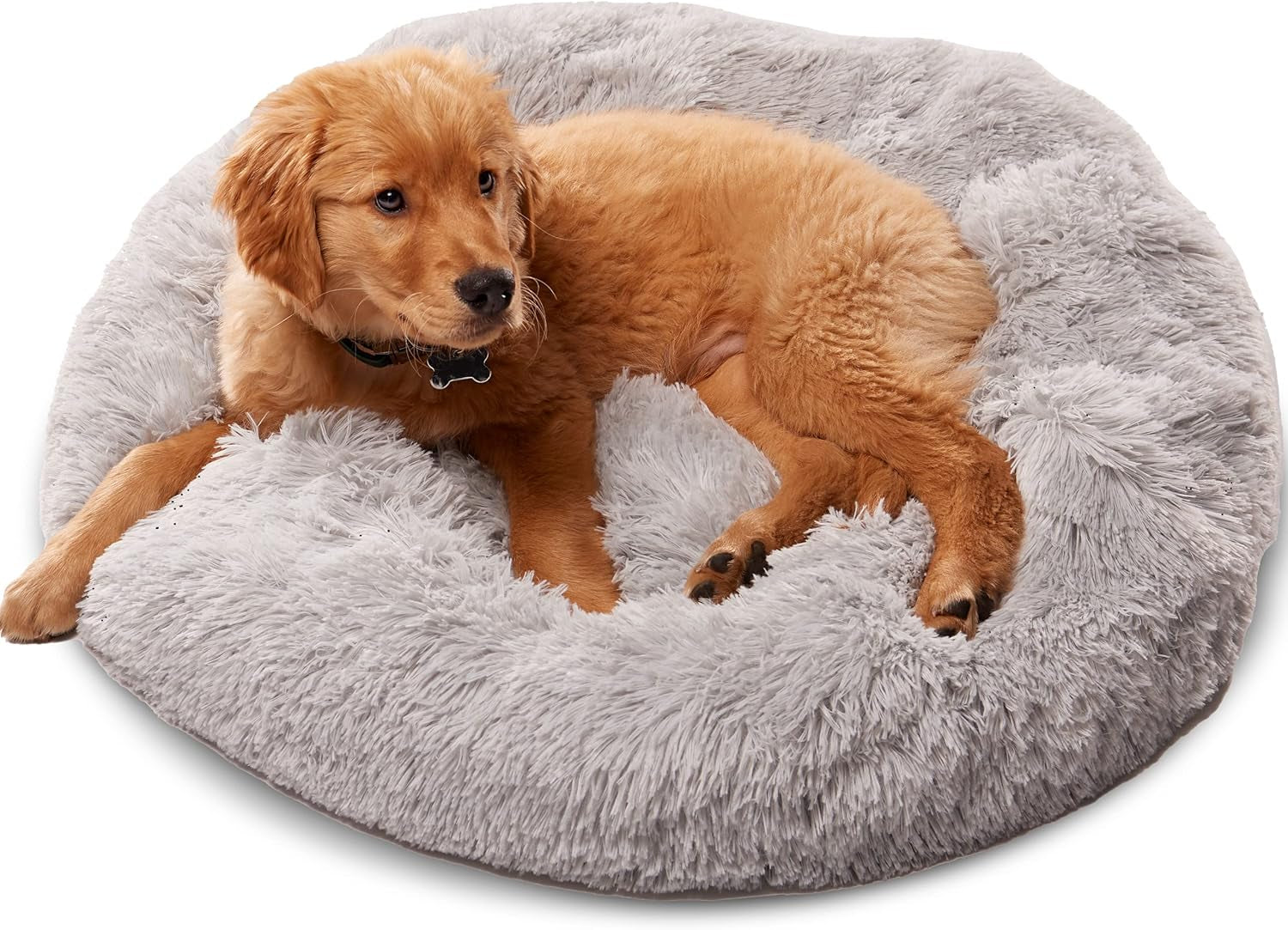 Premium Dog Beds for Large Dogs and Medium Dogs - Portable Dog Beds & Furniture - Fits up to 45 Lbs, (Medium, Dark Grey)